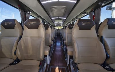 Comodos asientos