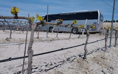 Grandoure en la ribera del duero