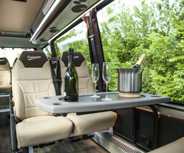 Interior minibus VIP 16 plazas