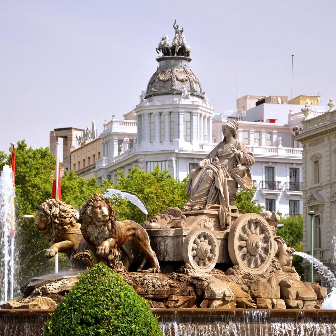 Empresa de autobuses en Madrid
