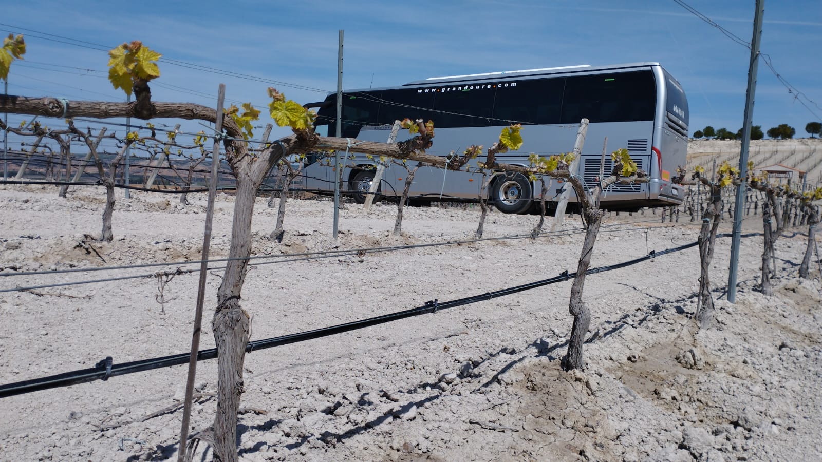 Grandoure en la ribera del duero